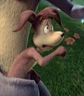 File:Rudy.jpg