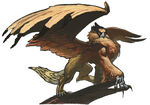 Grif.jpg