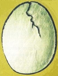 Semuanya02