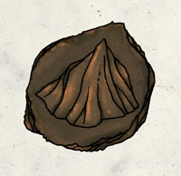 Gebsymbol.jpg