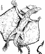 Drakaair