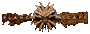 Ps-logo