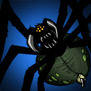 Baumspinne.png