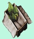 Thera leaf