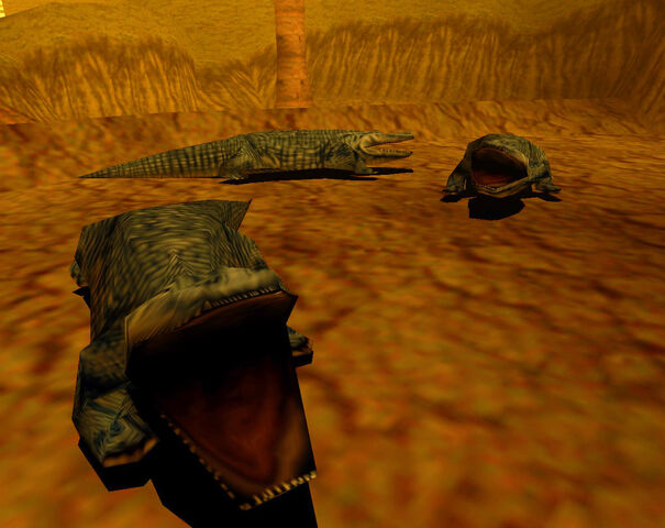 File:Crocs 1.jpg
