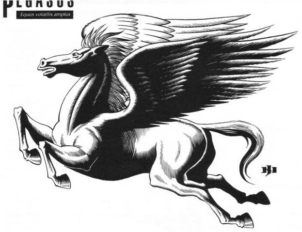 File:Pegasus.jpg