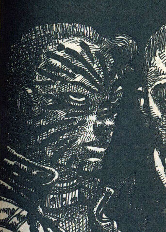File:Striper portrait.jpg
