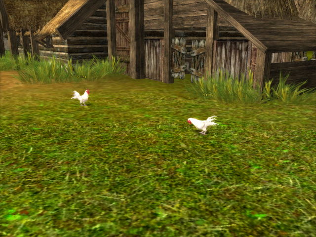 File:Galline.png