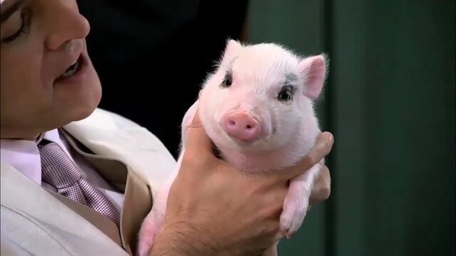 File:Pinky.jpg