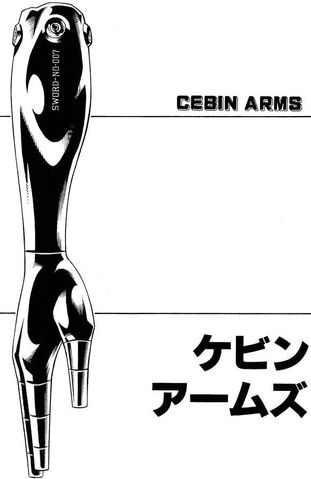 File:Cebind Arms.jpg