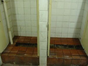 Squat-toilet-trough