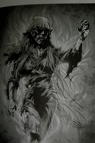 Bestand:Darkwraith crotonheks.jpg