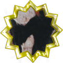 Bestand:Badge-2314-6.png