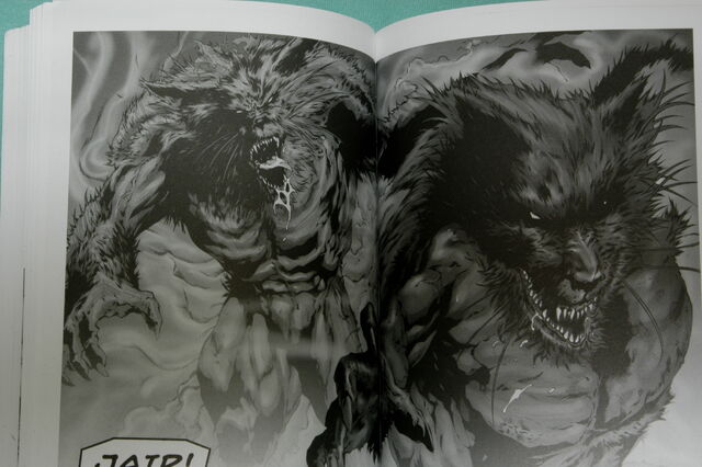 Bestand:Darkwraith weerbeesten.jpg