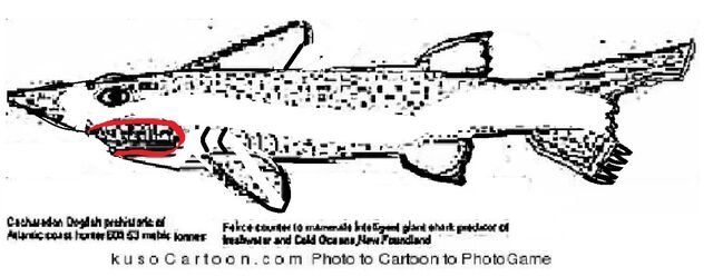 File:CachDog.jpg