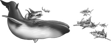 Indishiversharks