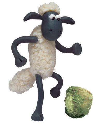 File:Shaun football kick.jpg