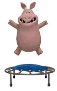 bouncing pig