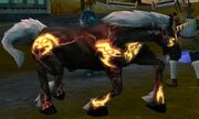 Black Unicorn