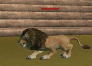 Alion