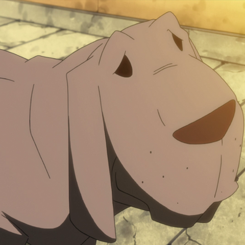 Datei:Medusa Hund.png