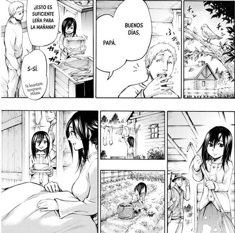 Archivo:Mikasa hace los quéhaceres de su hogar.png