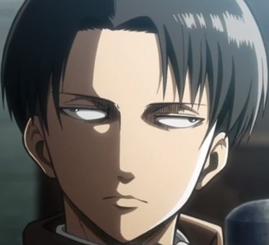 Archivo:Dyttiamg.png