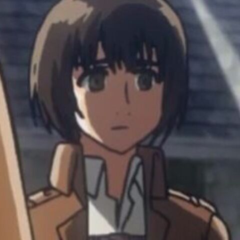 Arquivo:Nifa.jpeg