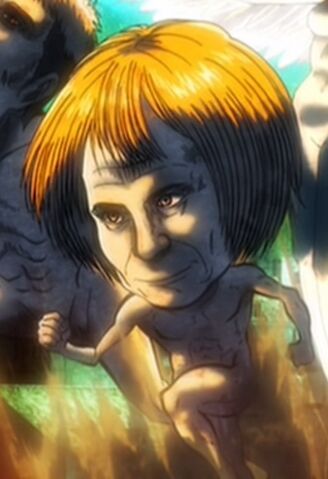 File:Armin as a Titan.jpg