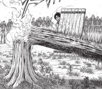 Breaking tree.jpg