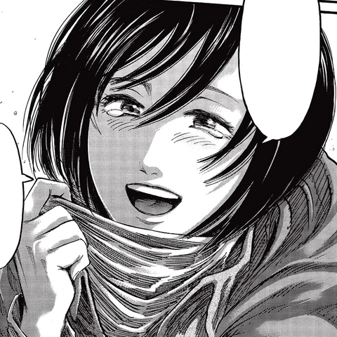 File:Mikasa profile picture.png
