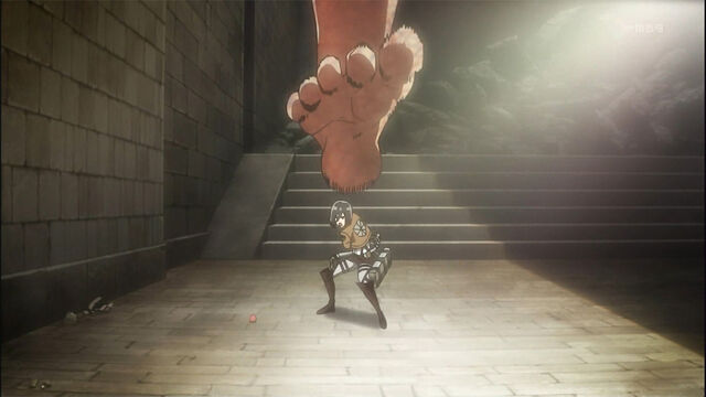 Plik:Mikasa zm.jpg