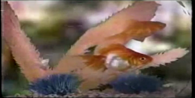 File:SplishSplashSplosh19.png
