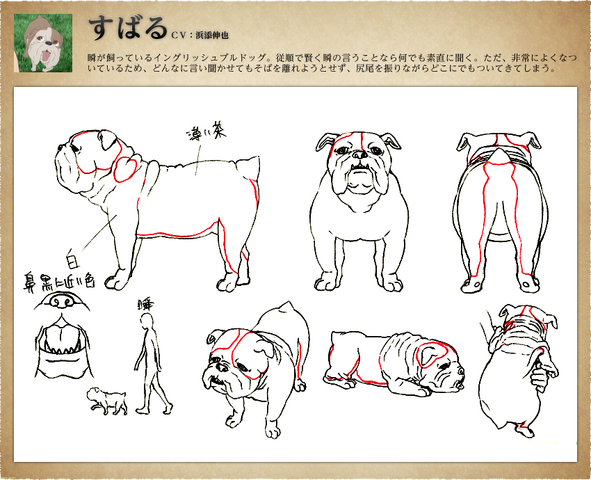 File:Subaru Sketches.png