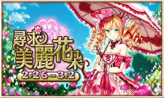 尋求美麗花朵