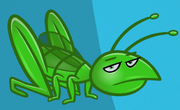 Cricket