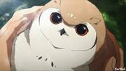 Small catto