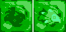 Slime blocks