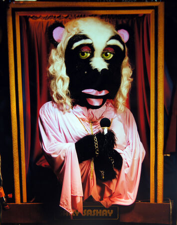 File:Sallysashay lg.jpg