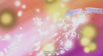 White Wing