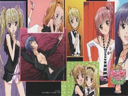 Shugo Chara! Character Song Album Best! 2 Cover