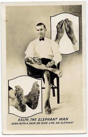 File:Ralph3.jpeg