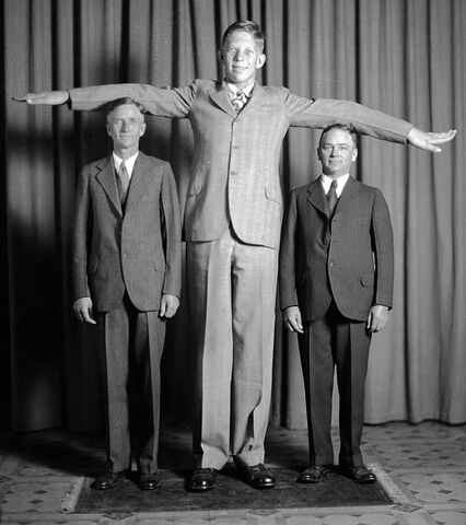 File:Wadlow13.jpeg