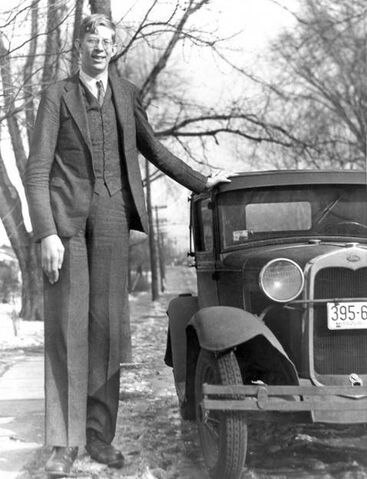 File:Wadlow20(262).jpg