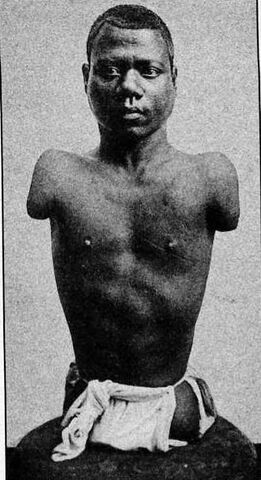 File:Randian.jpg