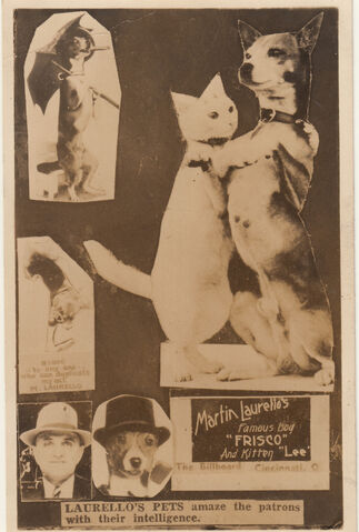 File:Laurellos-pets-postcard.jpg