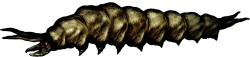 File:Twinfeeler.png