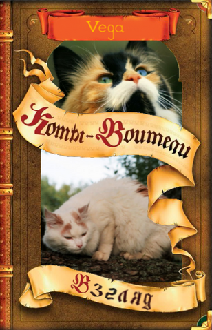 Файл:Взгляд обложка.png