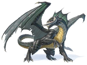 DragonBlack