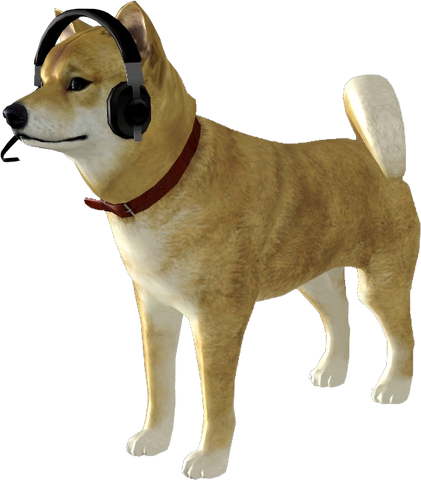 File:Doge.png